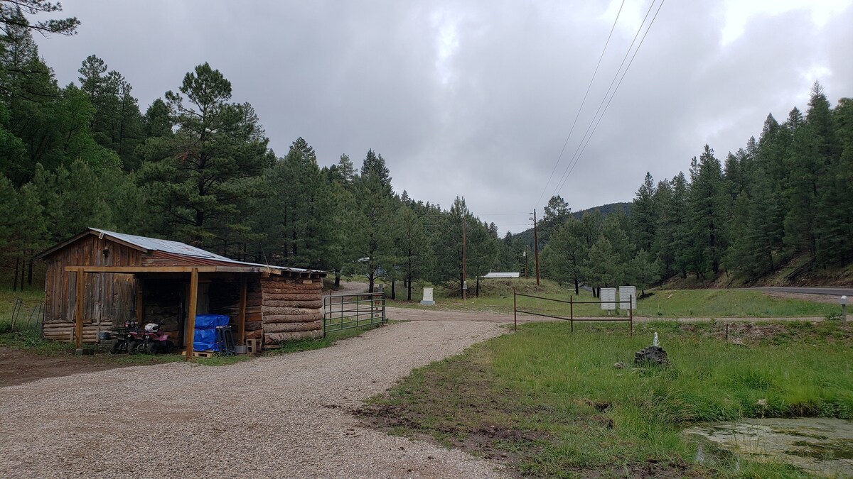 A gravel driveway leads to the cabin, surrounded by tall pine trees and open grassy areas. The rustic structure, built from logs, features a metal roof and an outdoor seating area. A winding road and distant buildings are visible in the background.