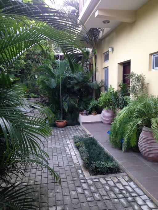 Walk thru a tropical Path!