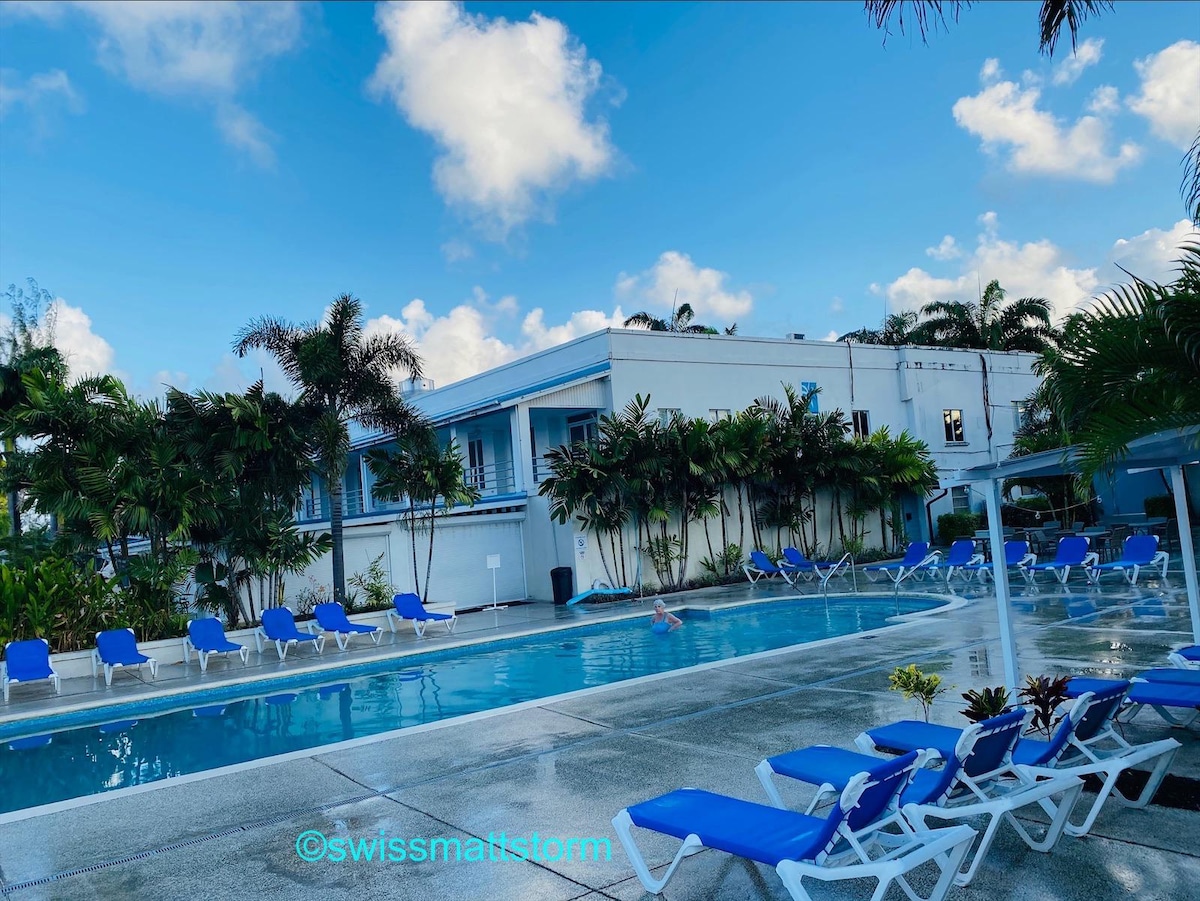 A spacious outdoor pool area is surrounded by tropical foliage and blue lounge chairs. The clean, inviting pool reflects the sky above, and the white building in the background complements the natural scenery. Guests can enjoy a relaxing atmosphere in this shared amenities space.