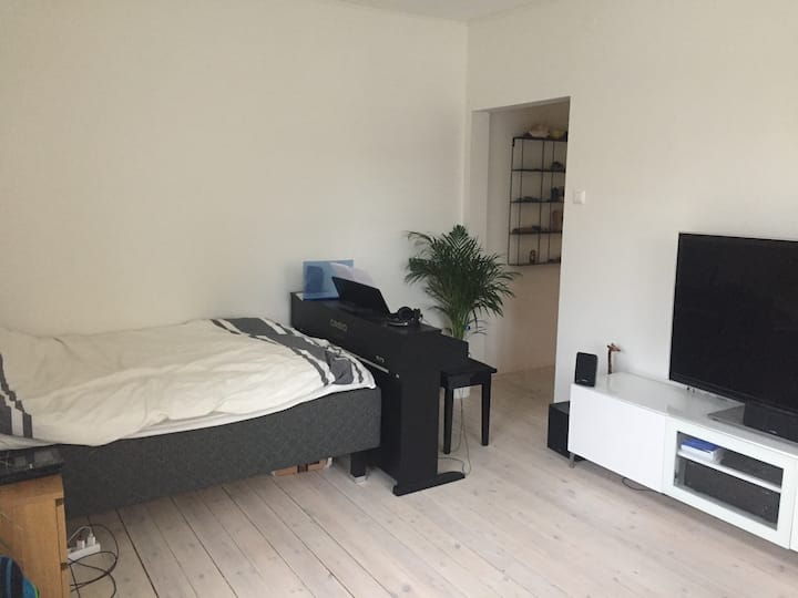 Newly Renovated Apartment - Uppsala