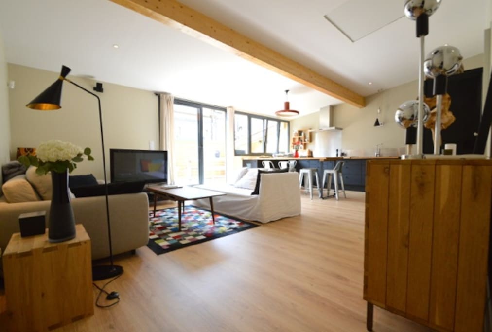 Salon, cuisine ouverte 40m2, climatisé, avec canapé convertible haut de gamme, et sa belle terrasse.