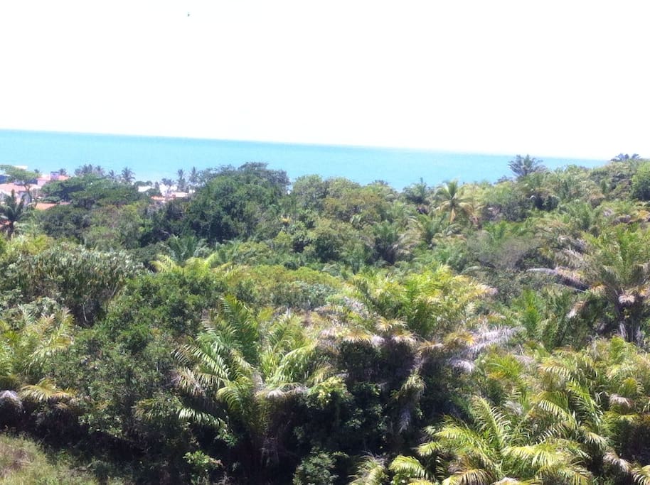 VISTA DA VARANDA