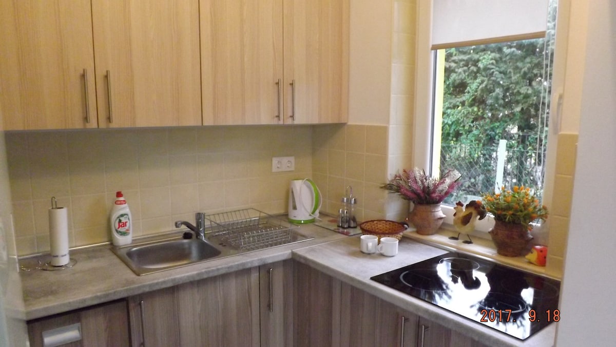 A well-equipped kitchen features a sink, stovetop, and various kitchen accessories, including a kettle and drying rack. Natural light filters through a window adorned with potted plants, creating a functional cooking space.