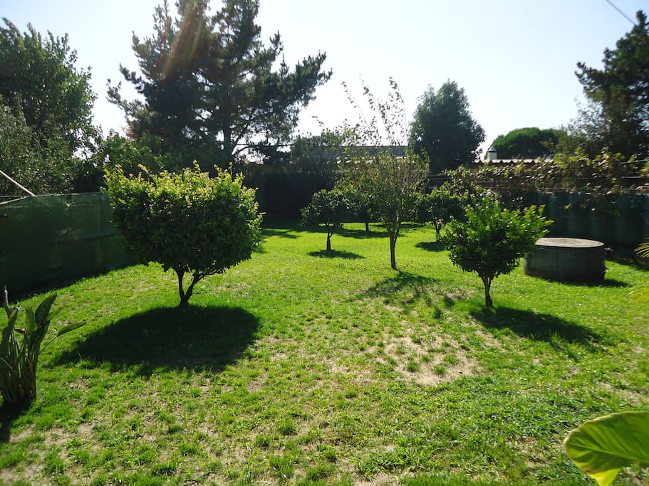 vista do jardim com árvores de fruto