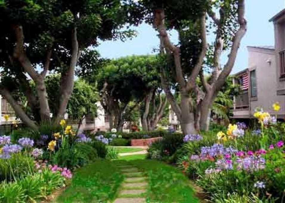 The beautiful grounds of Seascape Sur