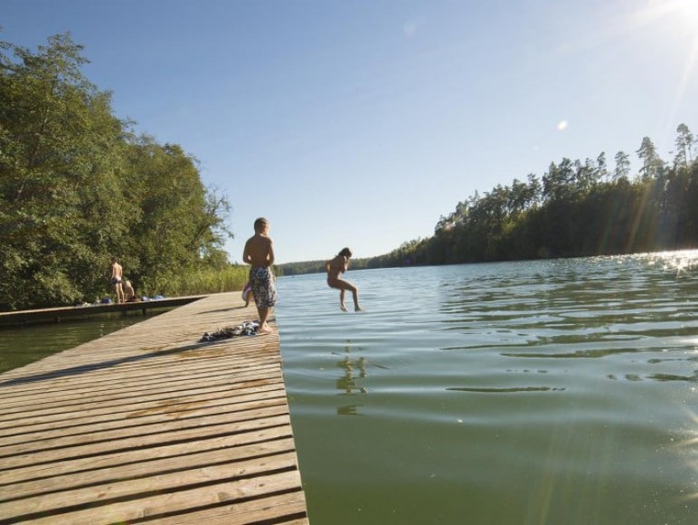 A wooden pier extends into a serene lake, surrounded by greenery and trees. Two children are seen joyfully jumping into the water. The sunlight reflects off the water's surface, providing a warm and inviting glow.