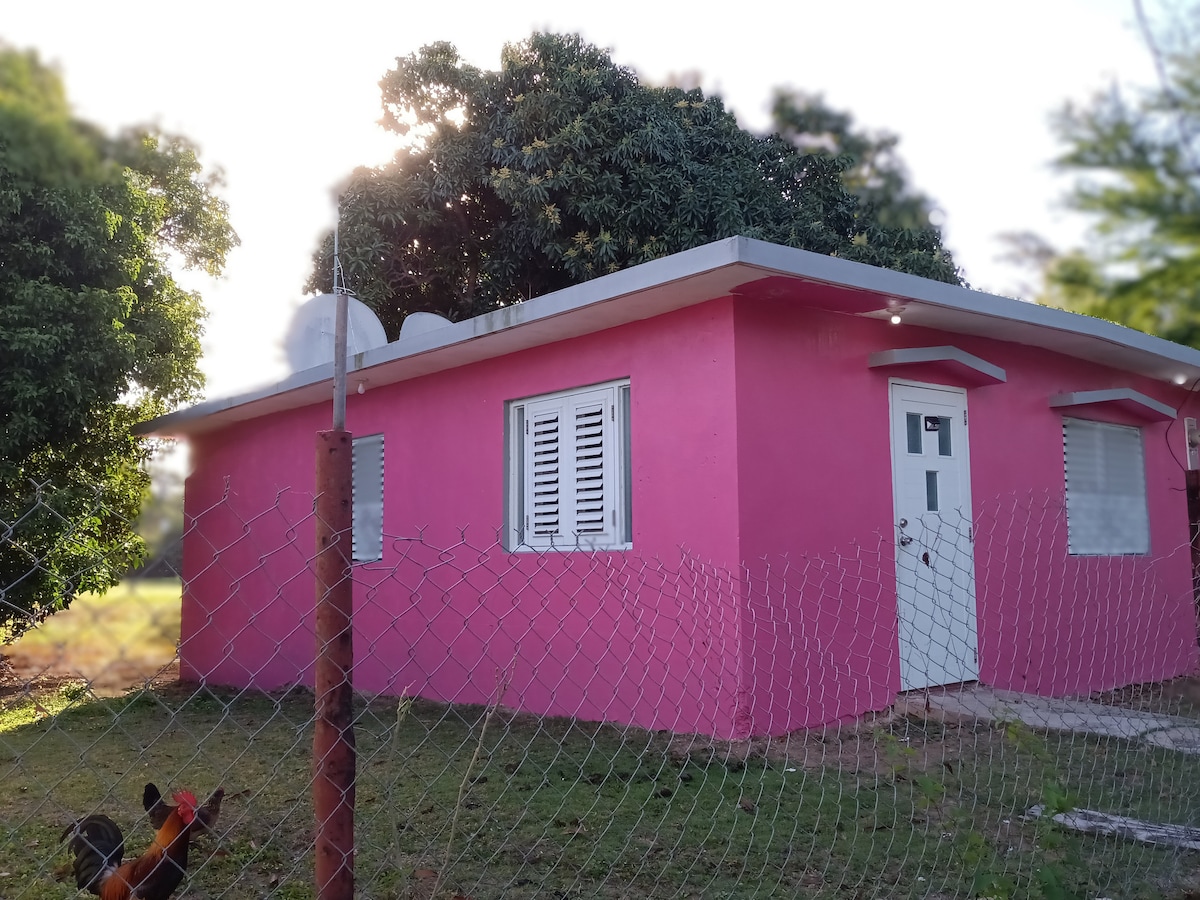 Small 1 bedroom house prepared for 3 people Tiny houses for Rent in