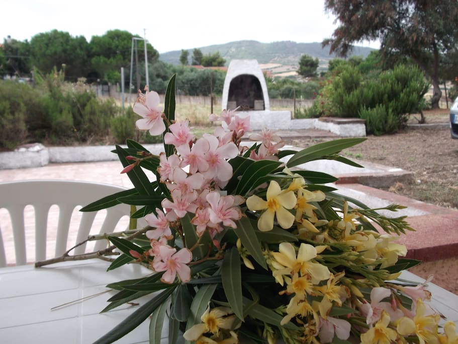 veranda e giardino