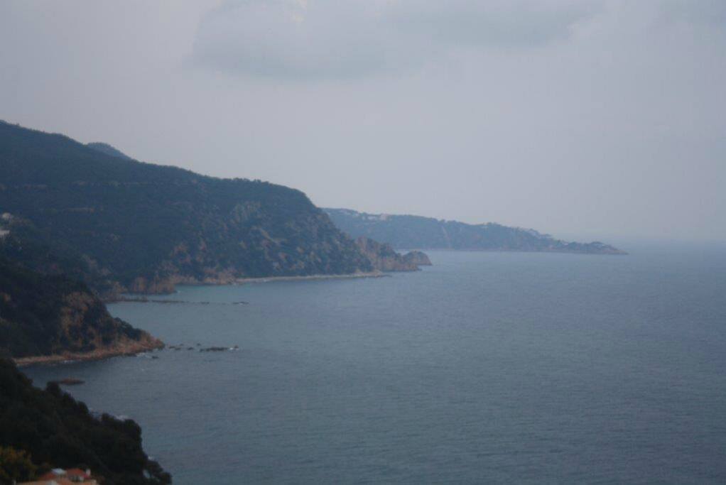Vista desde la carretera