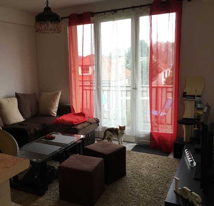 Salon avec canapé d'angle convertible (couchage proposé dans cette annonce, très confortable), grande TV avec fibre et baie vitrée pour l'accès à la terrasse.
