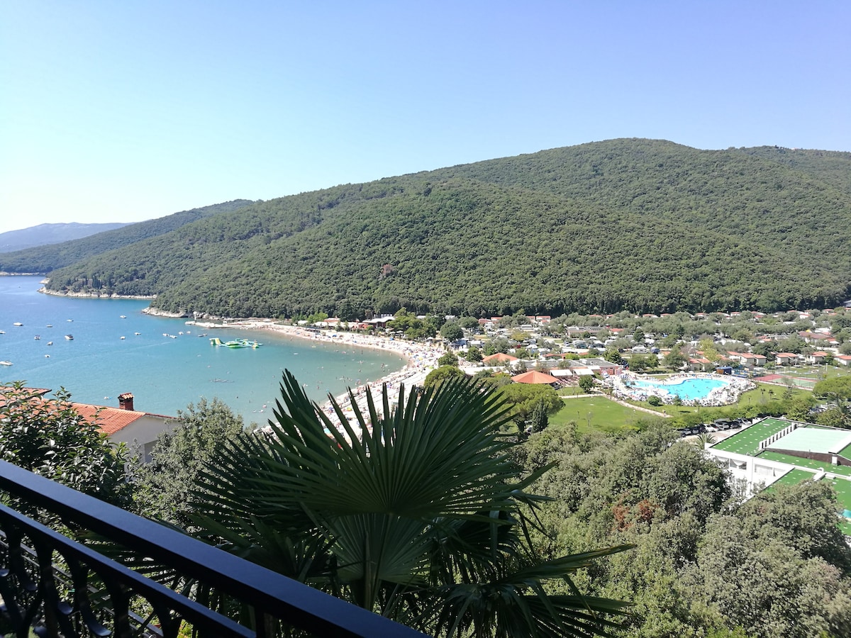 A panoramic view captures the sparkling blue sea and a sandy beach, bordered by lush green hills. Colorful beach umbrellas and sunbathers populate the shoreline, while a variety of trees and shrubs create a natural backdrop. The scene conveys a serene coastal atmosphere.