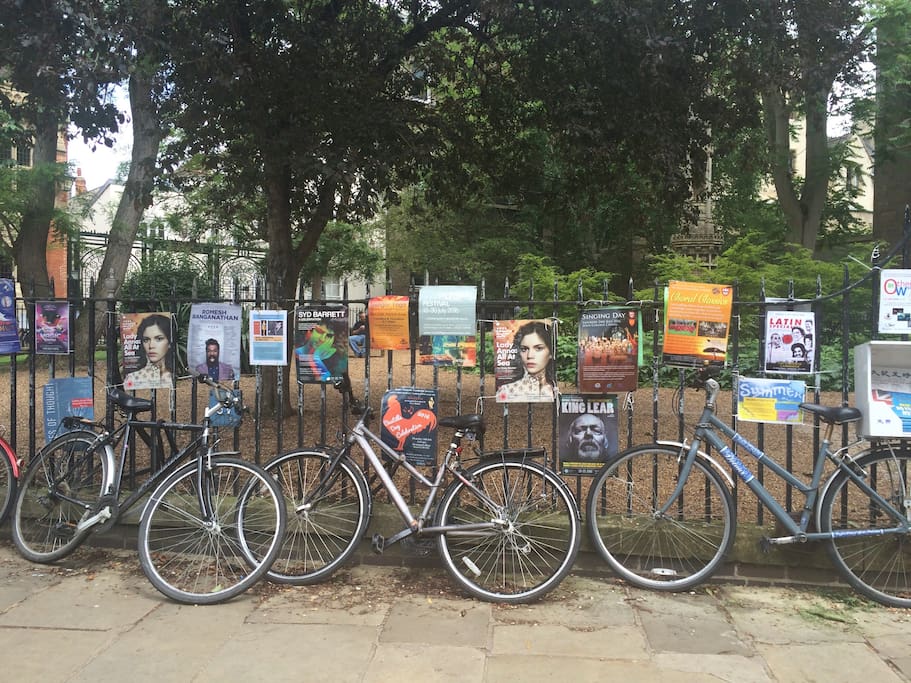 Bikes in Cambridge