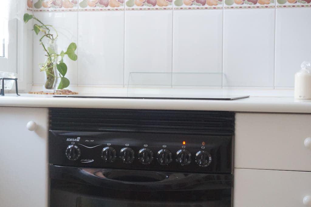 Placa eléctrica y horno