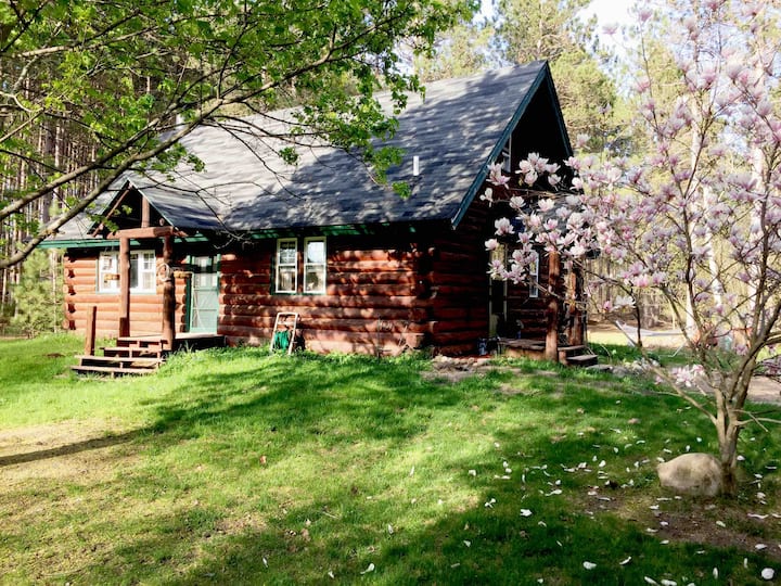 Cabin in the woods close to TC/Sleeping Bear Dunes Houses for Rent in