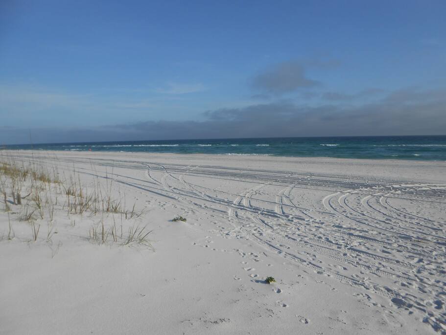 Beach in Front of House