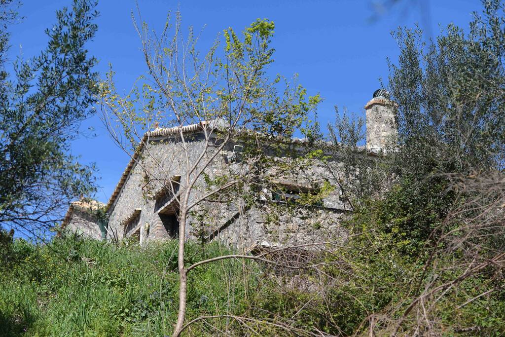 Outside view