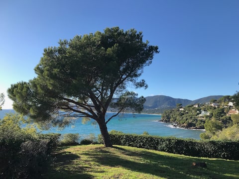 Very beautiful seafront villa with beach access