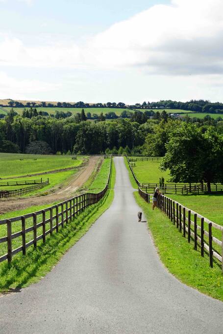 Driveway