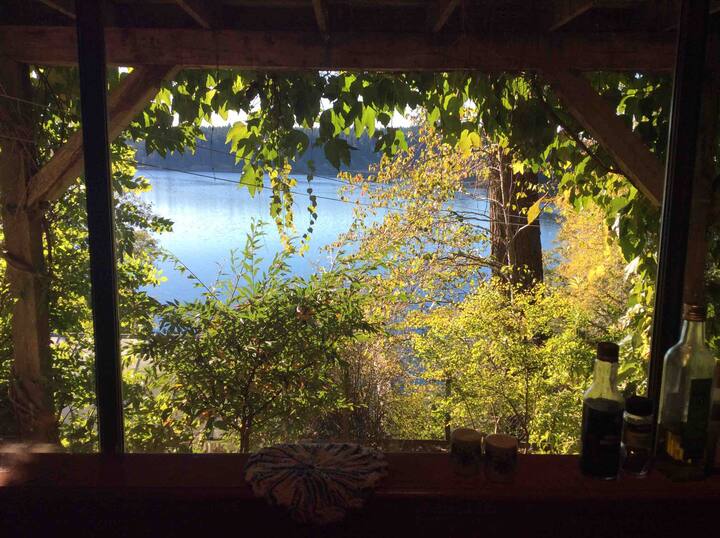 Top 10 Airbnb Vacation Rentals On Quadra Island, Canada Updated 2024 Trip101