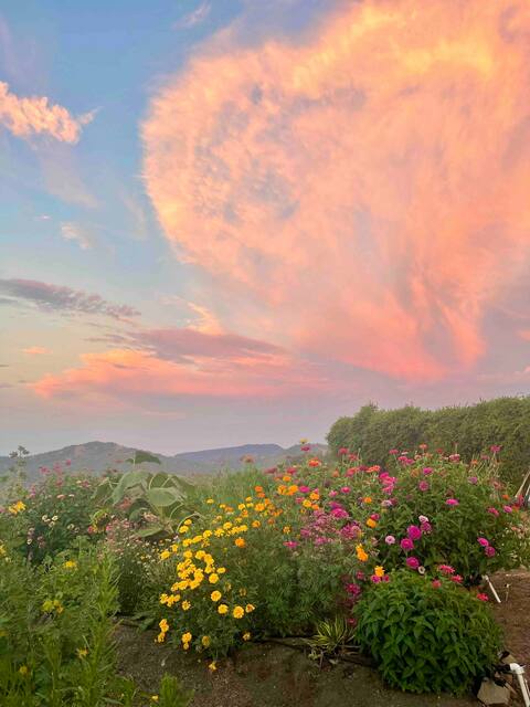 Mountain Farmhouse on 90 Acres: Stars & Sunrises