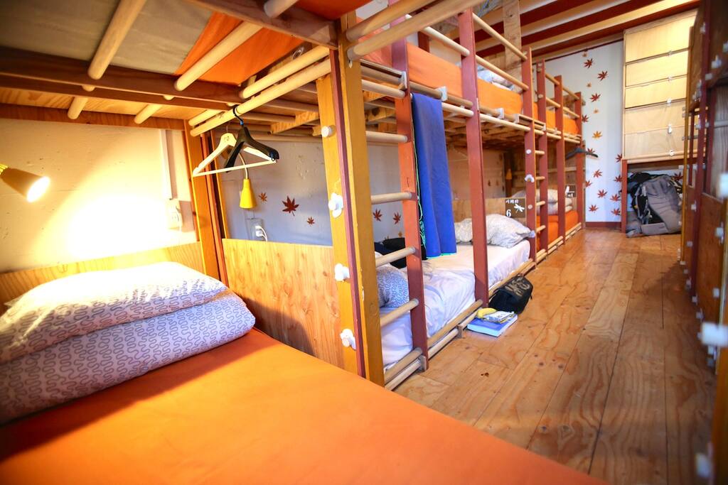 Mixed Dormitory