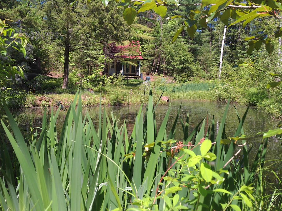 chalet rustique dans le bois**rustic cottage in the woods