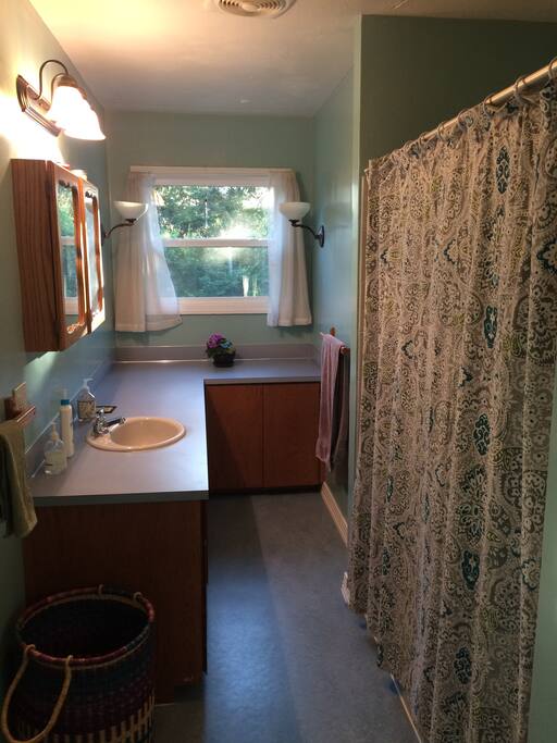 Guest bathroom