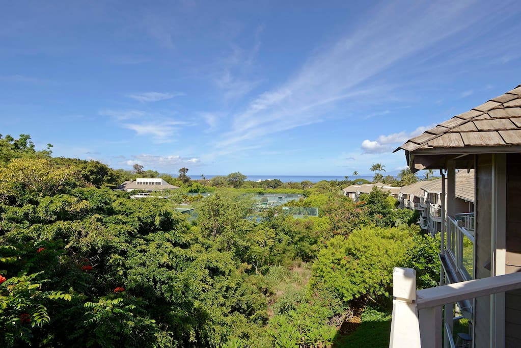 View from the lanai at Grand Champions #54