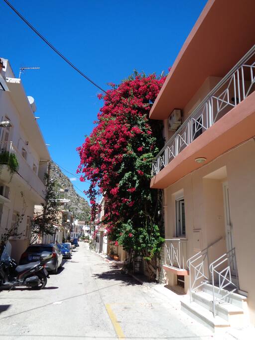 Street in front of the house
Δρόμος μπροστά από το σπίτι
