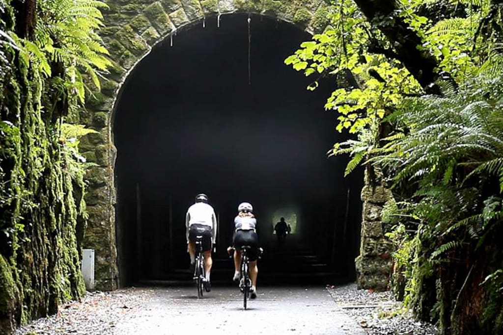 Heading into Ballyvoyle Tunnel on the Waterford Greenway- a few minutes cycle from here!