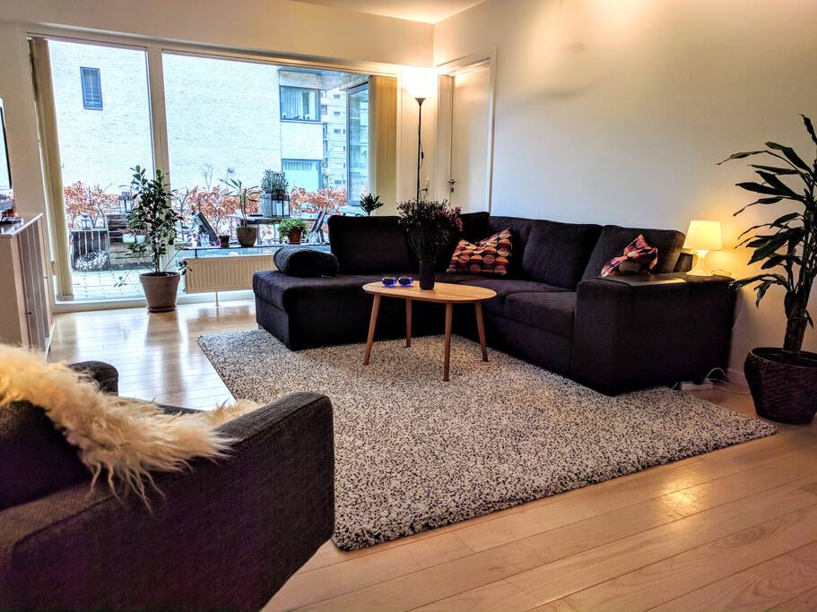 The living area. There is a door to a private terrace area that gets the mid-morning sun on those rare days the Danish weather is nice. We just moved in, so don't have anything hanged on the walls yet.