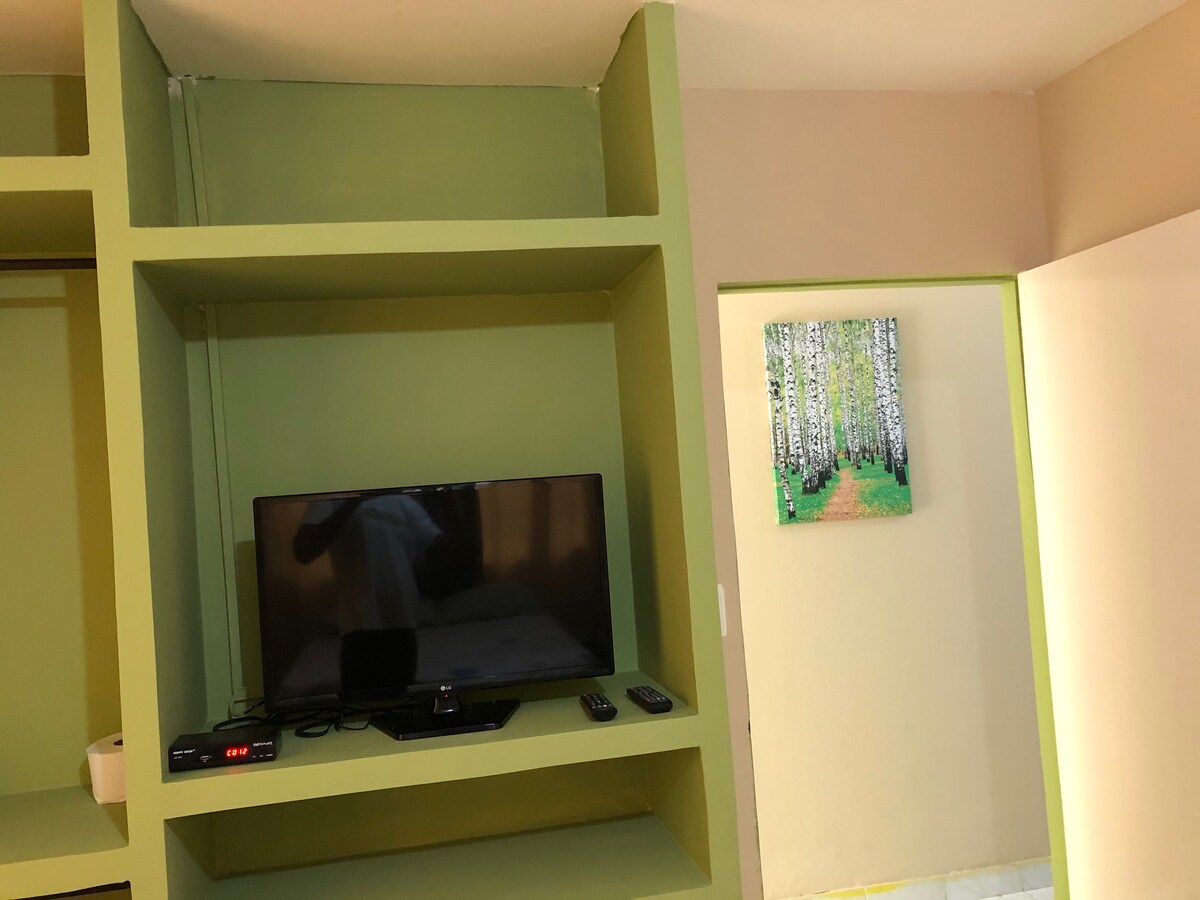 Телевизор со рамен екран