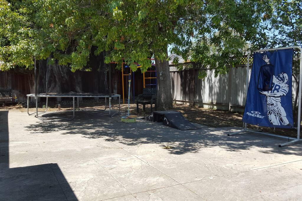 Huge backyard with fruit trees
