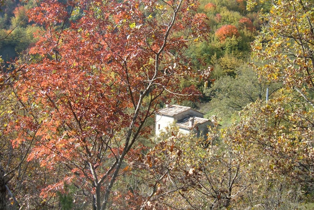 il Mulino in the fall
