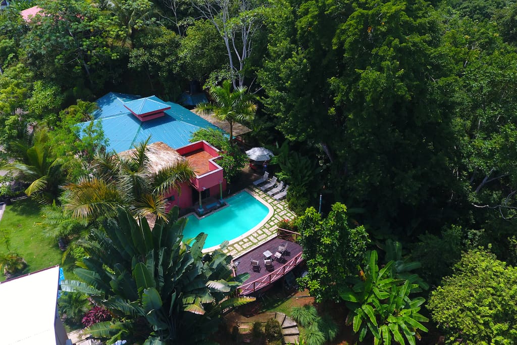 Arial of the home and back side photo of the pool