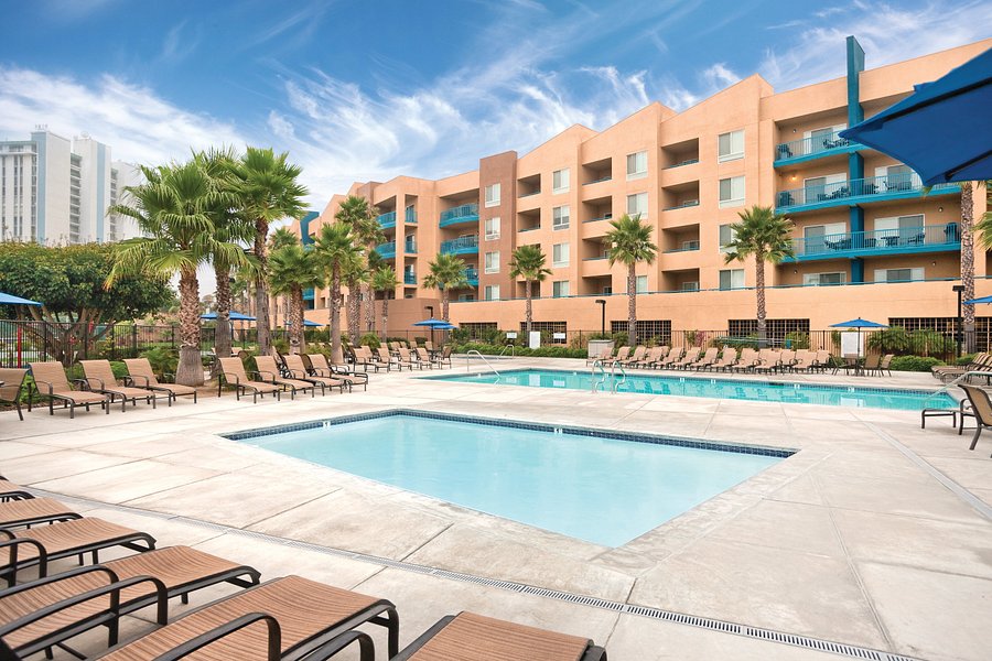 A well-maintained outdoor pool area features two pools surrounded by lounge chairs. Palm trees and umbrellas provide shade, while stylish buildings with balconies overlook the space. The clear sky enhances the inviting atmosphere of this relaxing resort setting.