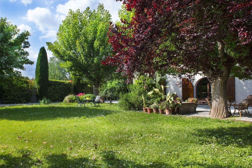 View of the garden