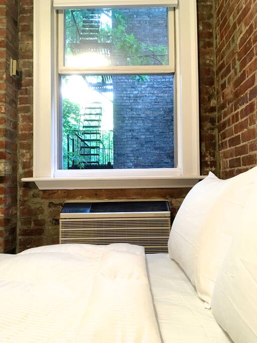 Window in the living room, facing a green backyard.