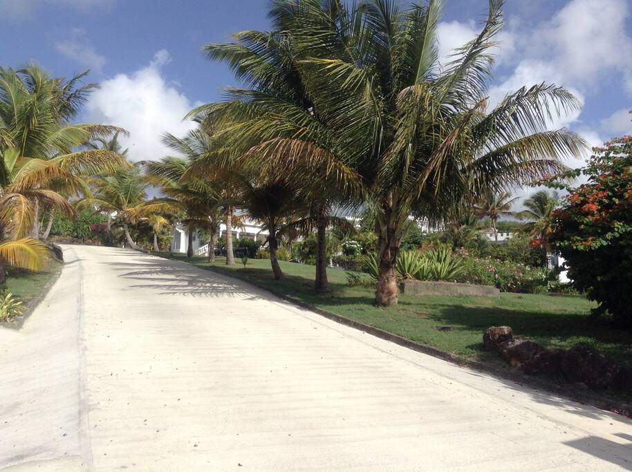 Driveway to enter our compound - private and exclusive
