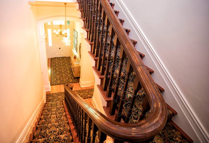 QPO Queenscliff gallery image 4