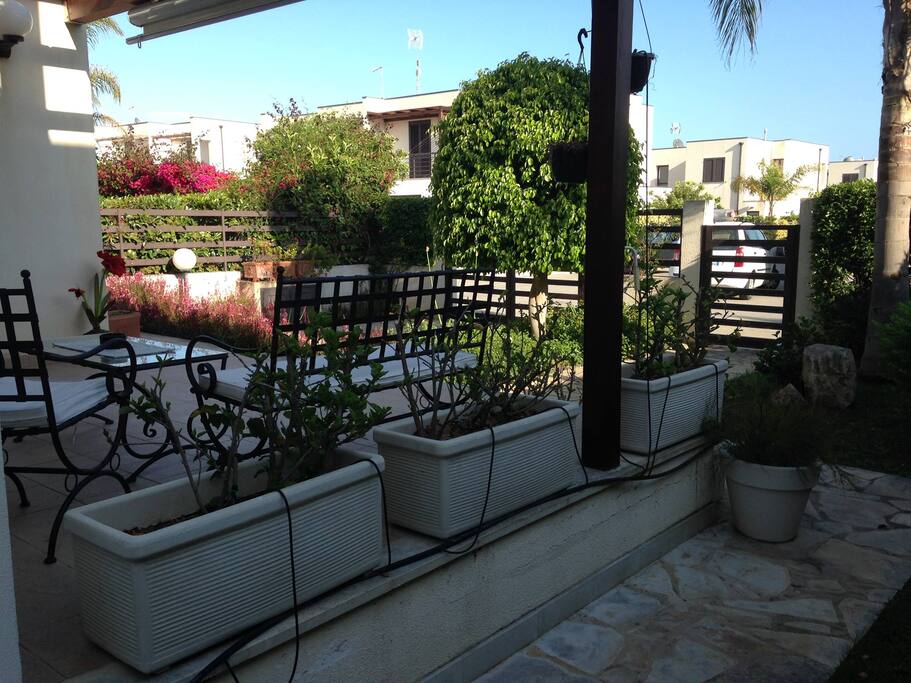 Terrace and Garden