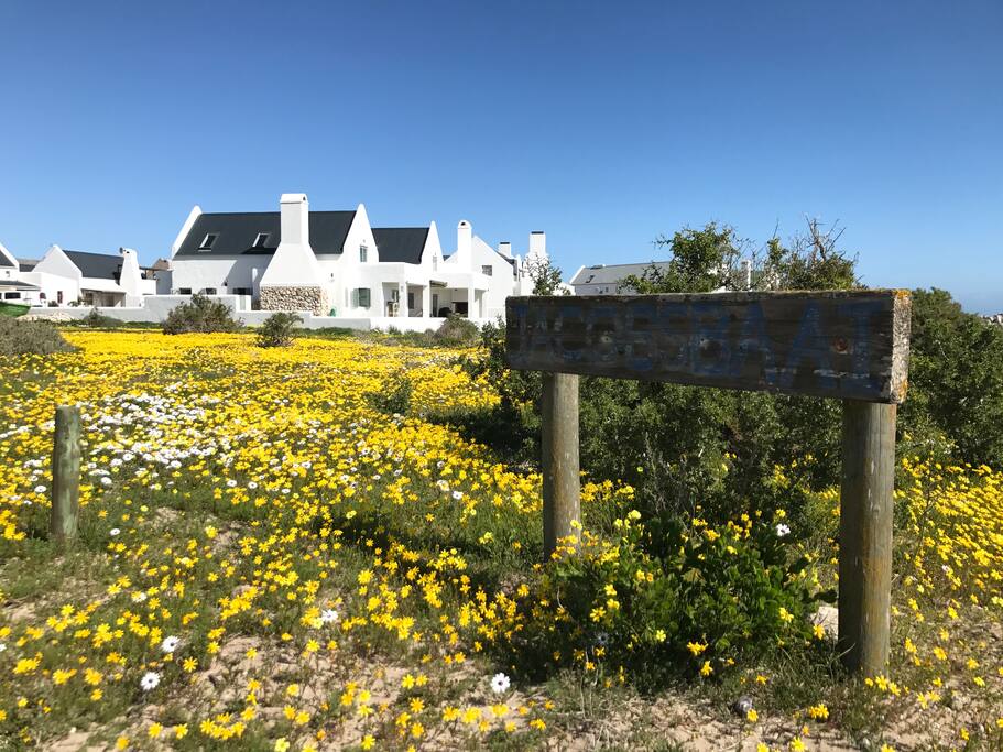Flower season
