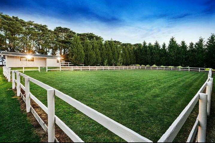 袋鼠之地 170亩岱崮地貌 Family activities客房 gallery image 2