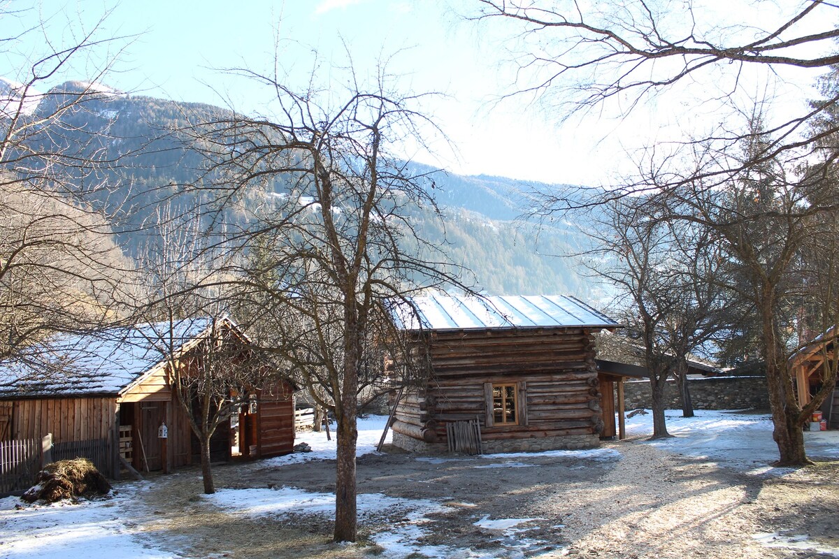 The exterior of a rustic cabin is visible, featuring wooden construction and a sloped metal roof. Surrounding trees with sparse foliage are present, and patches of snow cover the ground. Mountains rise in the background under a clear blue sky, suggesting a serene natural setting.