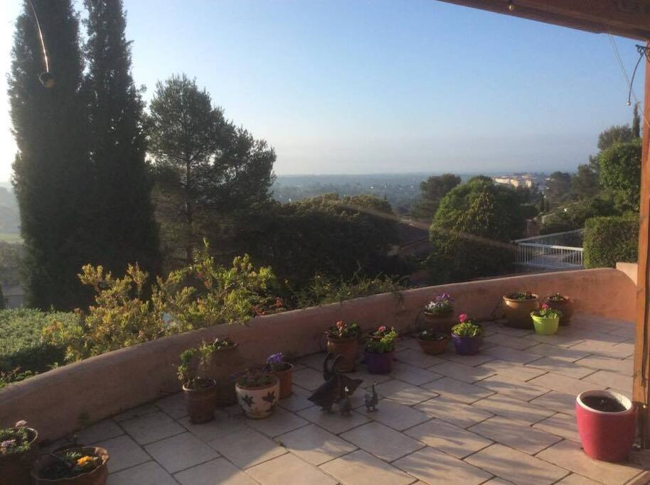 Terrace One
