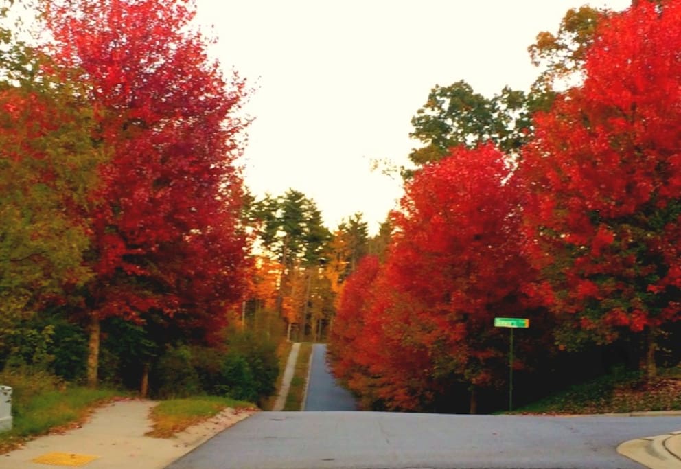Street leaving home...taken 10/22/15