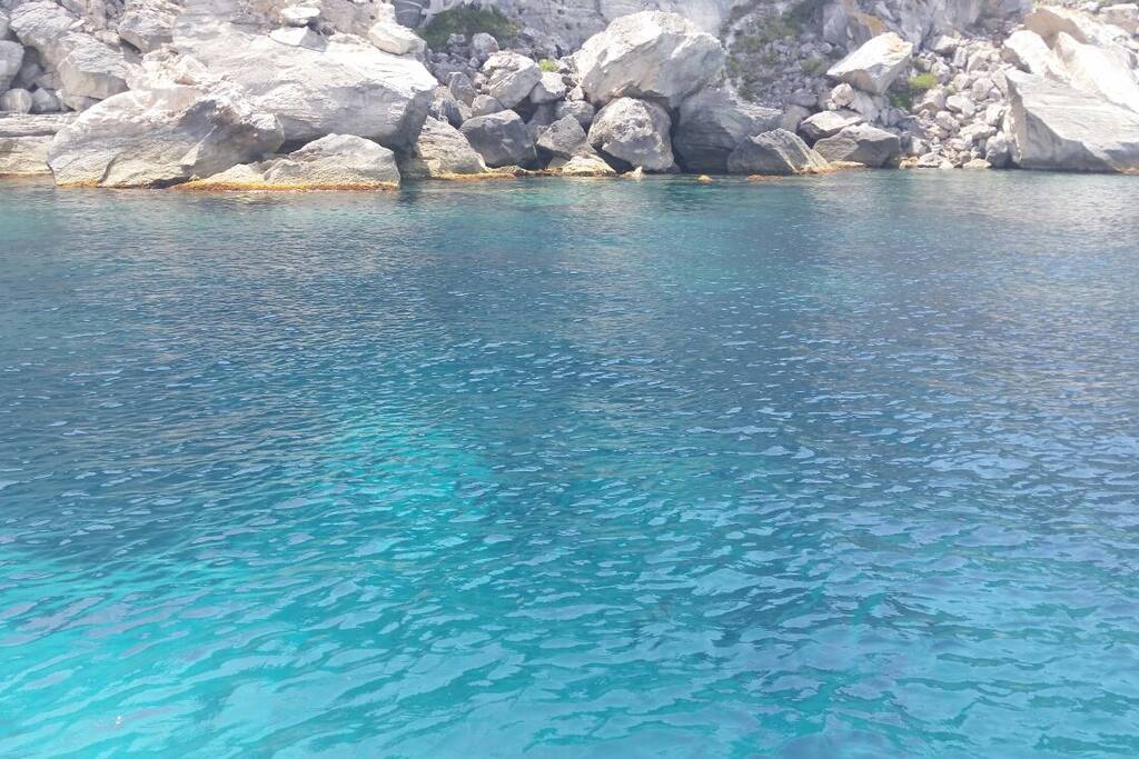Mare di favignana escursione