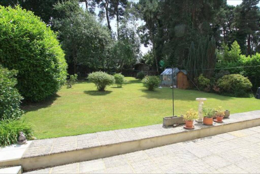 garden