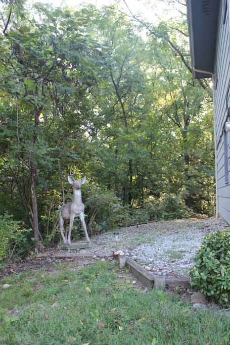 Welcoming deer - this way to the apartment!