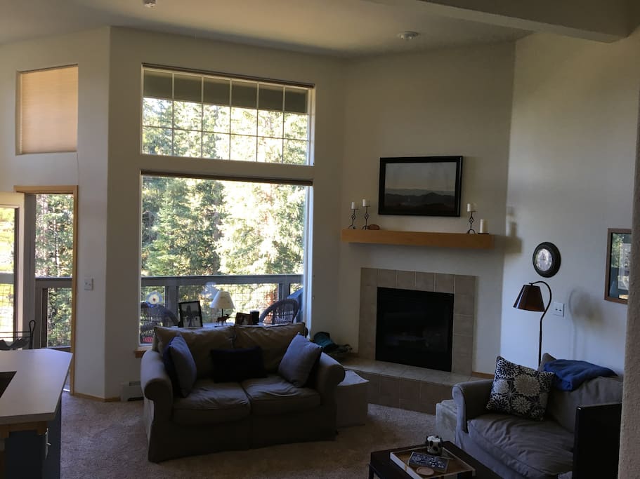 Gas fireplace in the living room.